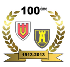 logo-100-v2-python